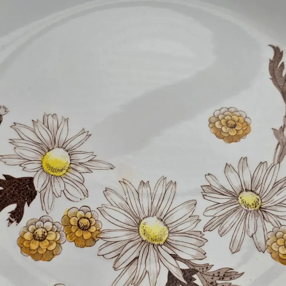 Johnson Bros Daisies Won't Tell Ironstone Dinner Plates 10